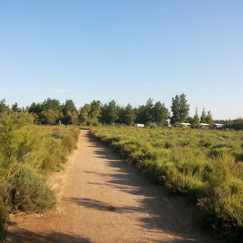 Urlaub Frankreich 2015 (6)